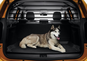 Dacia Duster 2 Trenngitter