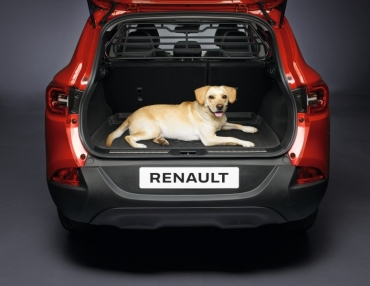 Renault Kadjar Trenngitter