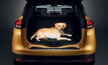 Renault Grand Scenic 4 Trenngitter