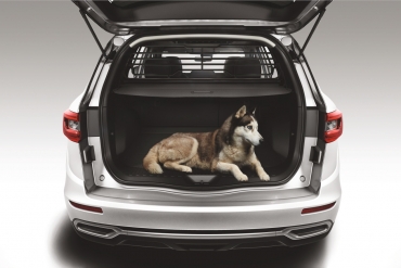 Renault Koleos 2 Trenngitter