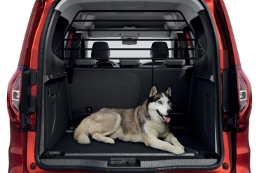 Renault Kangoo 3 Separating grid