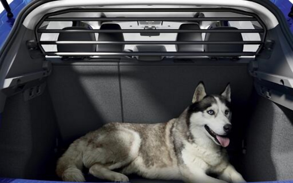 Dacia Sandero 3 Trenngitter