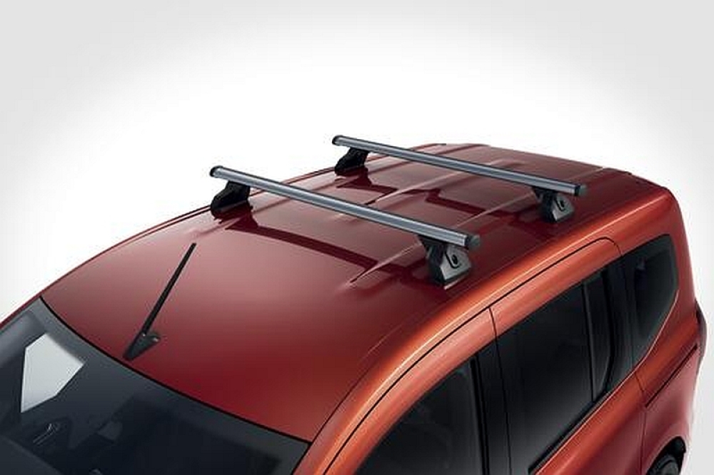 Renault Kangoo 3 Dachträger