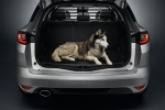 Renault Megane 4 Grandtour Trenngitter